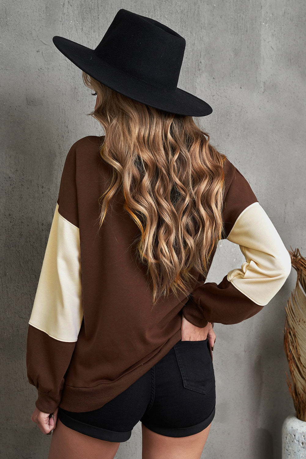Color Block Quarter-Snap Sweatshirt