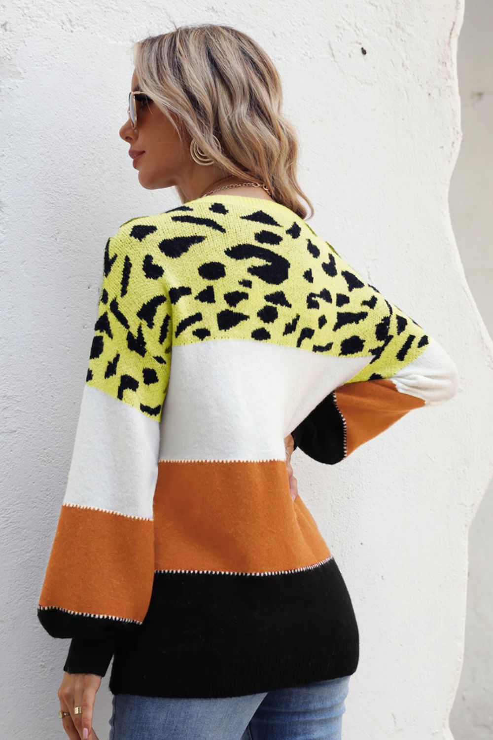 Animal Print Color Block Sweater