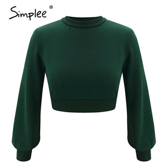 Trending Gorgeous High Waist Lantern Sleeve Womens Sweater Autumn Winter Casual Pullover Tb8c