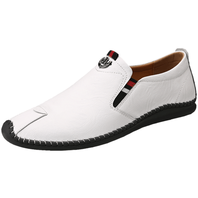 Fashion Men's Shoes - Classic Luxury Men Leather Shoes - Comfortable Casual Shoes (MSC2)(F12)