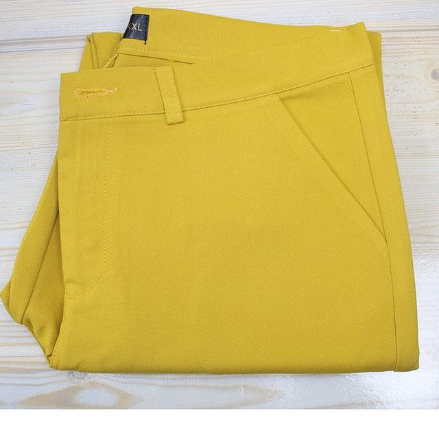 Office Ladies Work Wear - Mid Waist Straight Women Trousers - Plus Size Women Business Formal Pants (D25)(BP)