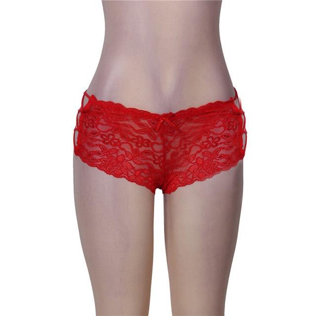 Women's Sexy Panties - Low Waist Lingerie - Transparent Underwear Nylon Briefs (2U28)