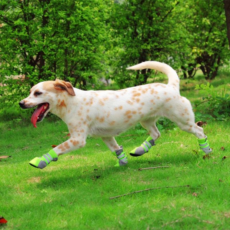 4Pcs/set Reflective Dog Shoes - No-Slip Waterproof Boots Breathable Rain Footwear Paw Protector Outdoor (W8)(F69)
