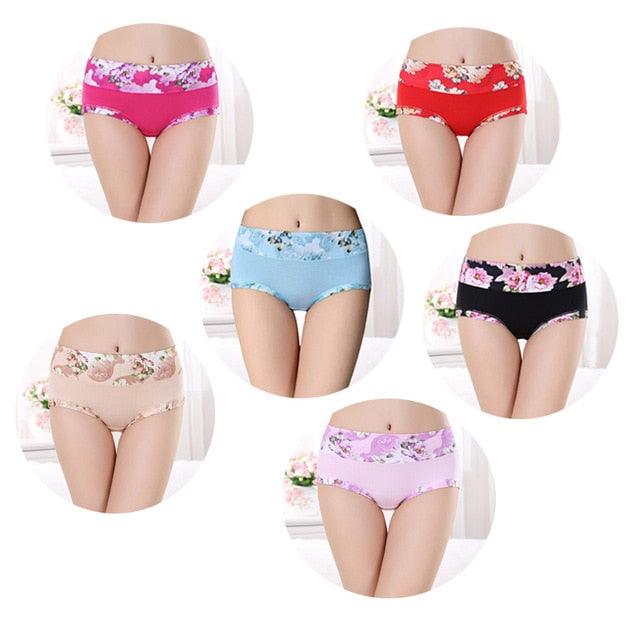 Trending 6pcs/lot Women's Underwear - Sexy Cotton Girls Briefs Printed Intimate - Plus Size Underwear (D28)(TSP2)