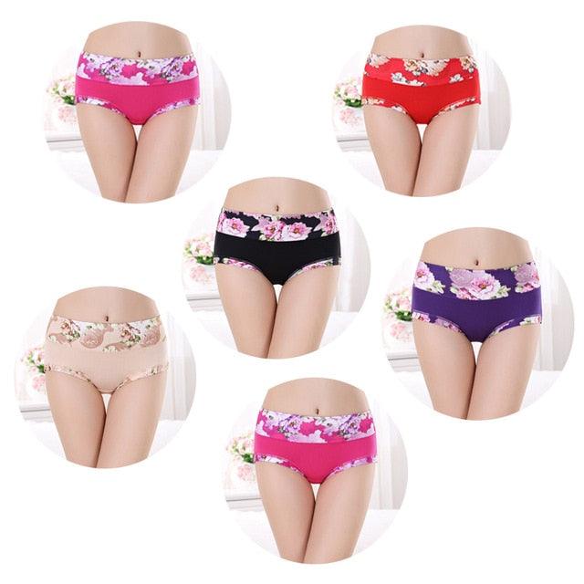 Trending 6pcs/lot Women's Underwear - Sexy Cotton Girls Briefs Printed Intimate - Plus Size Underwear (D28)(TSP2)