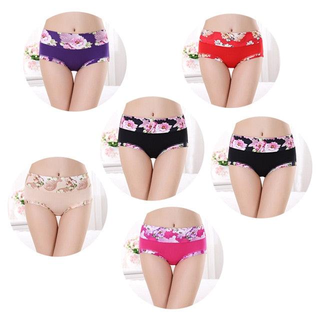 Trending 6pcs/lot Women's Underwear - Sexy Cotton Girls Briefs Printed Intimate - Plus Size Underwear (D28)(TSP2)