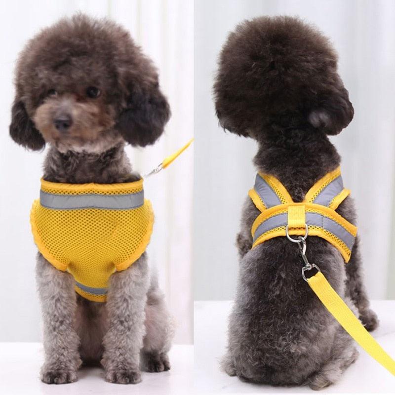 Adjustable Pet Dog Cat Harness and Leash Set - Puppy Cat Reflective Vest Harness Collar Chihuahua Pug Bulldog (2U70)