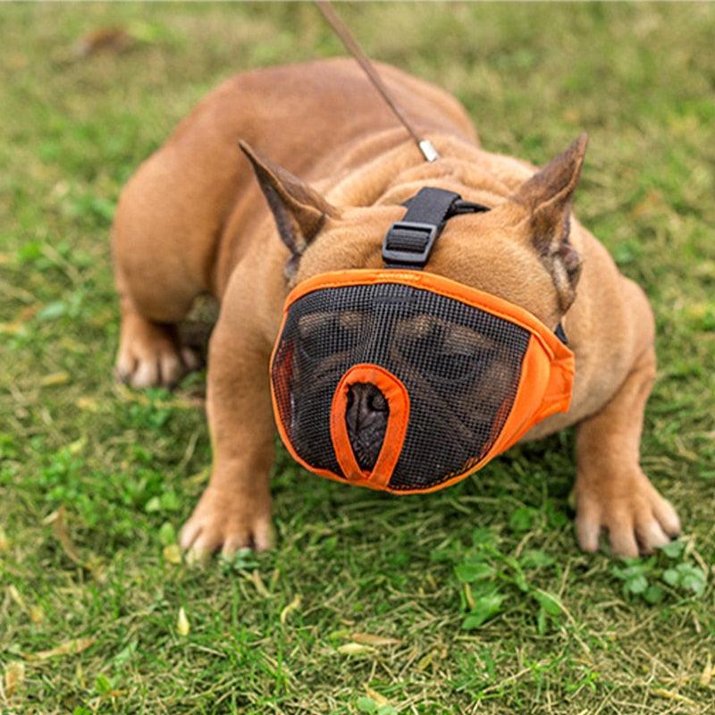 Anti Bark Bite Chew Pug French Bulldog Muzzles - Adjustable Breathable Mesh Breathable Short-nose (4W1)