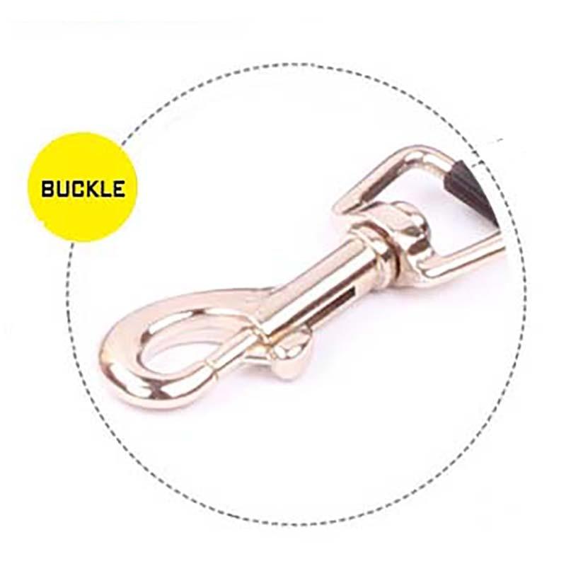 Automatic Retractable Dog Leash For Small Dogs - Nylon Rope Length 5m Dog Accessories For Large Dogs (D70)(2W1)