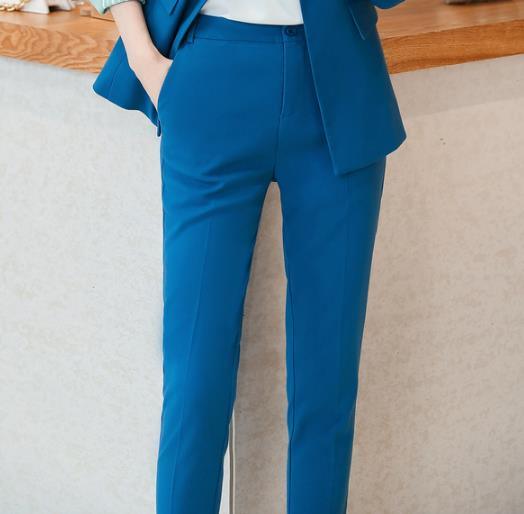 Gorgeous Business Suit Set - Fashion Host Suit - High Quality Office Women's Suit - Large Size - New Pants Set (TB5)(F20)