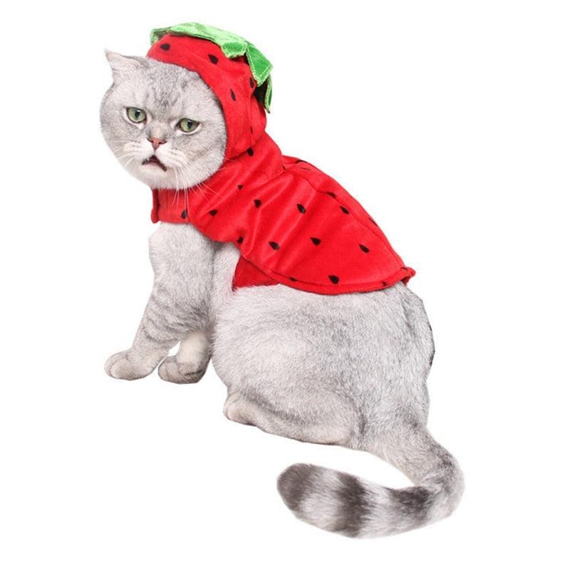 Cat Clothes Halloween Cute Red Strawberry Pet Transform Clothes Cats Winter Jacket (2U75)