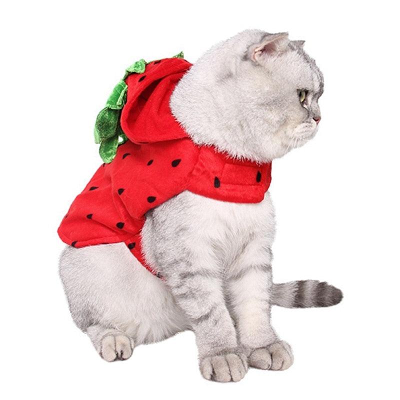 Cat Clothes Halloween Cute Red Strawberry Pet Transform Clothes Cats Winter Jacket (2U75)