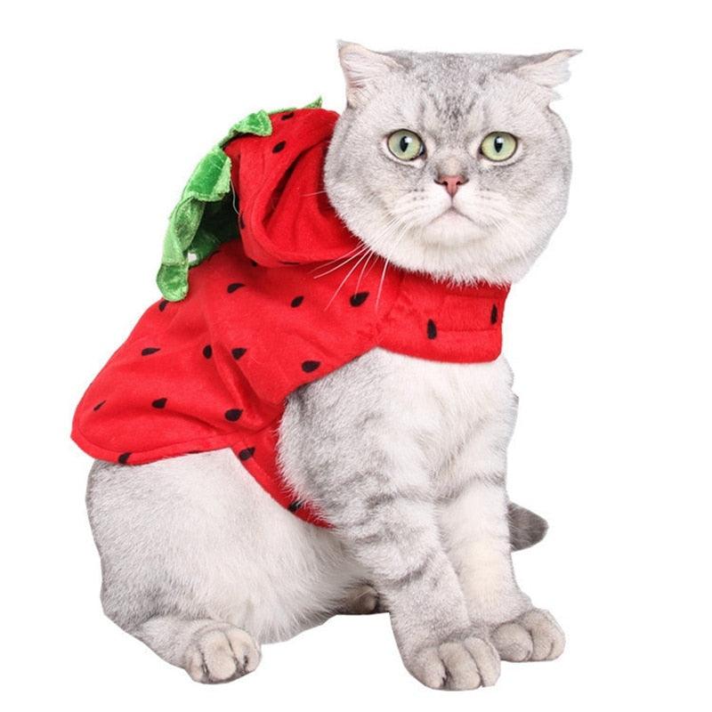 Cat Clothes Halloween Cute Red Strawberry Pet Transform Clothes Cats Winter Jacket (2U75)