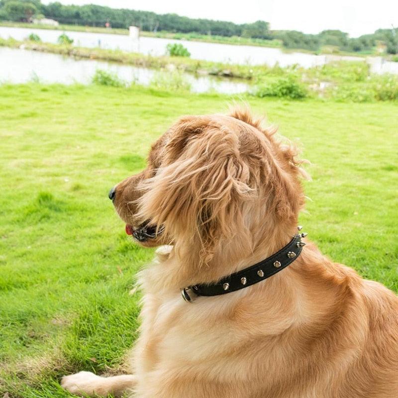 Cool Spiked Dog Collars - Studded Padded Leather Small Dogs Pitbull Terrier Adjustable Pet Necklace (2U70)