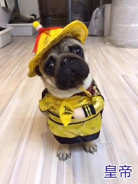 Cosplay Dog Clothes For Small Dogs - Winter French Bulldog Jacket Standing Cartoon Dog Halloween Costume (W7)
