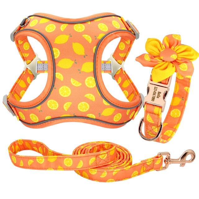 Custom Nylon Dog Collar Harness Leash Set - Personalized Nameplate ID Tag Collars Adjustable (3W1)(2W1)(1W1)(F70)
