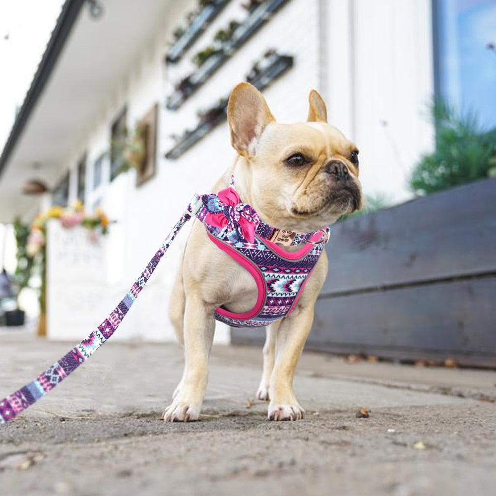 Custom Nylon Dog Collar Harness Leash Set - Personalized Nameplate ID Tag Collars Adjustable (3W1)(2W1)(1W1)(F70)