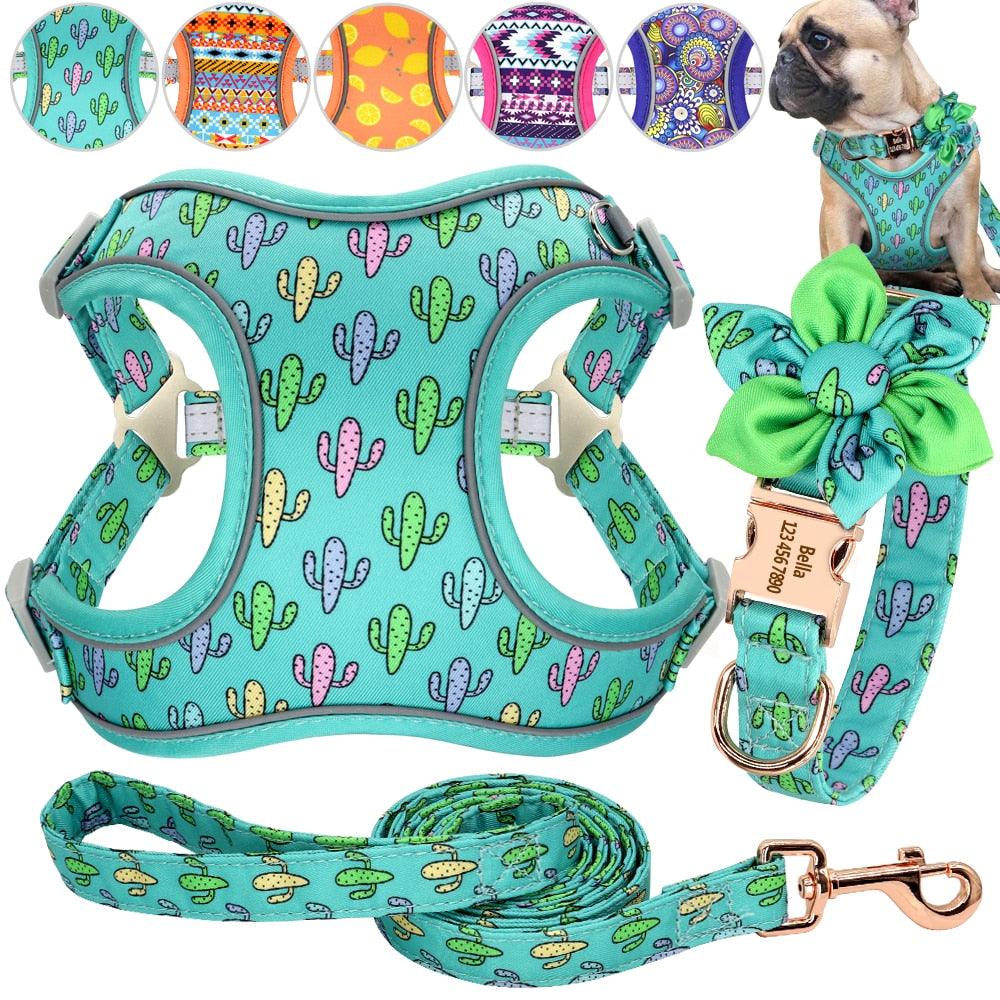 Custom Nylon Dog Collar Harness Leash Set - Personalized Nameplate ID Tag Collars Adjustable (3W1)(2W1)(1W1)(F70)