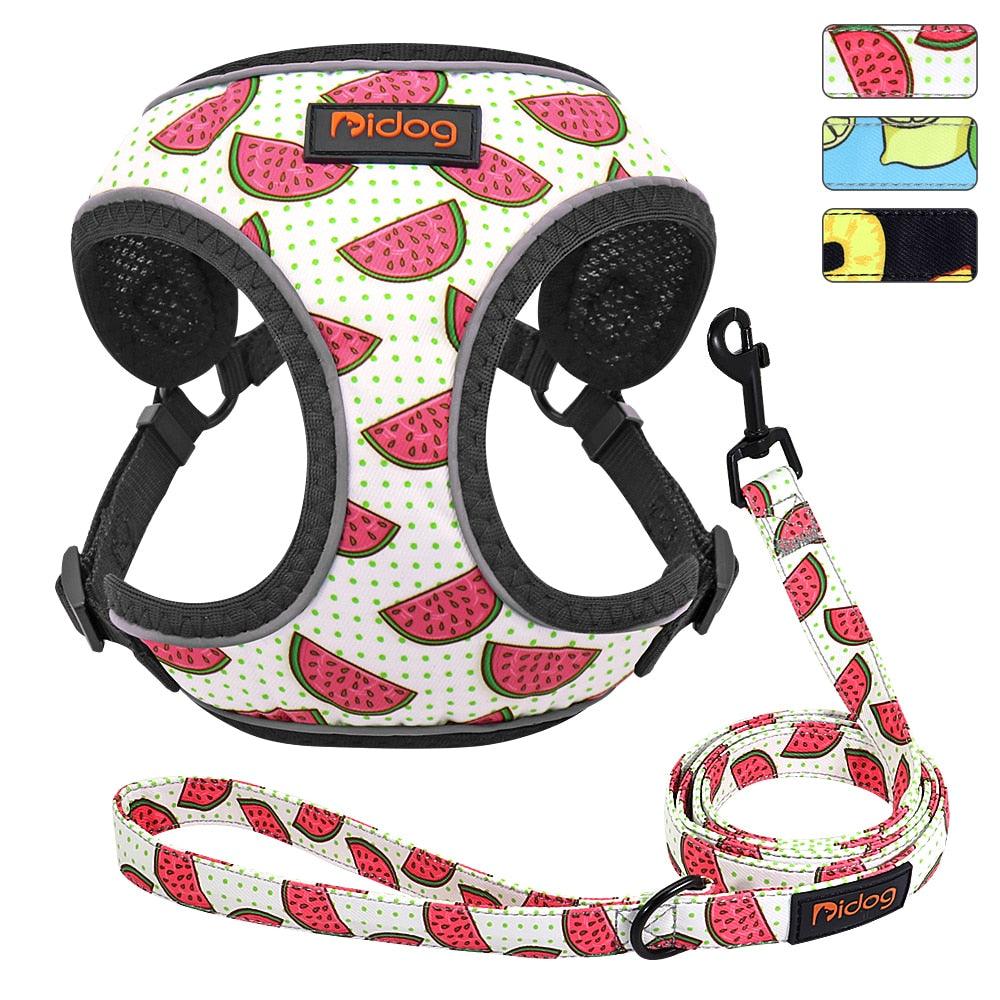 Cute Adjustable Dog Harness Leash Set - Reflective Mesh Puppy Vest Nylon Pet Walking Leash Lead For Small Medium Dogs (2W1)(3W1)