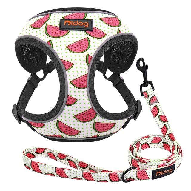 Cute Adjustable Dog Harness Leash Set - Reflective Mesh Puppy Vest Nylon Pet Walking Leash Lead For Small Medium Dogs (2W1)(3W1)