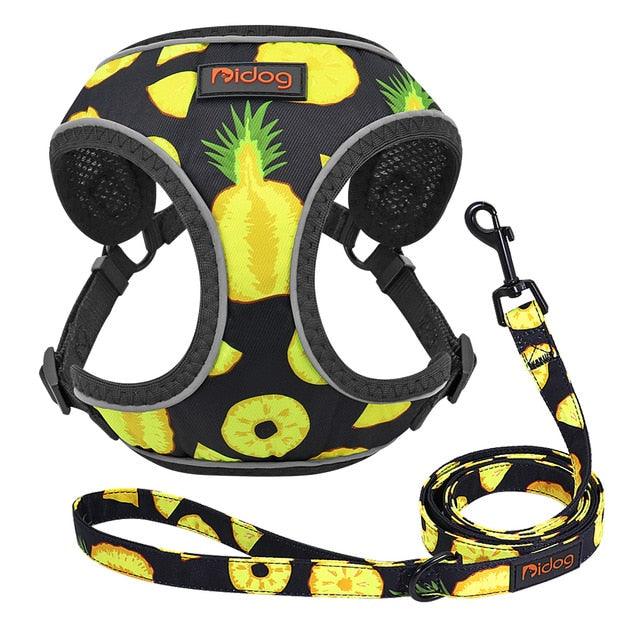 Cute Adjustable Dog Harness Leash Set - Reflective Mesh Puppy Vest Nylon Pet Walking Leash Lead For Small Medium Dogs (2W1)(3W1)