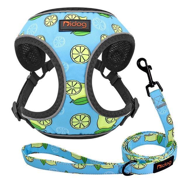 Cute Adjustable Dog Harness Leash Set - Reflective Mesh Puppy Vest Nylon Pet Walking Leash Lead For Small Medium Dogs (2W1)(3W1)