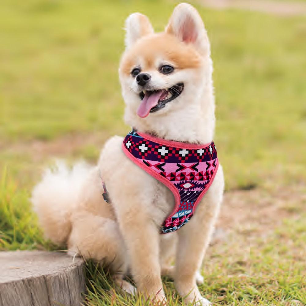 Cute Puppy Cat Harness Adjustable Printed Pet Harness Vest For Small Medium Dogs (3W1)(F70)