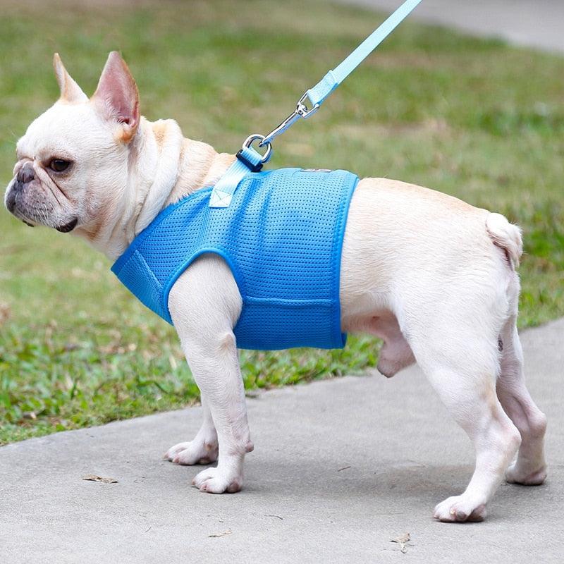 Dog Breathable Mesh Harness And Leash Set - Light Weight Adjustable Pet Dog Harness Vest (2U70)