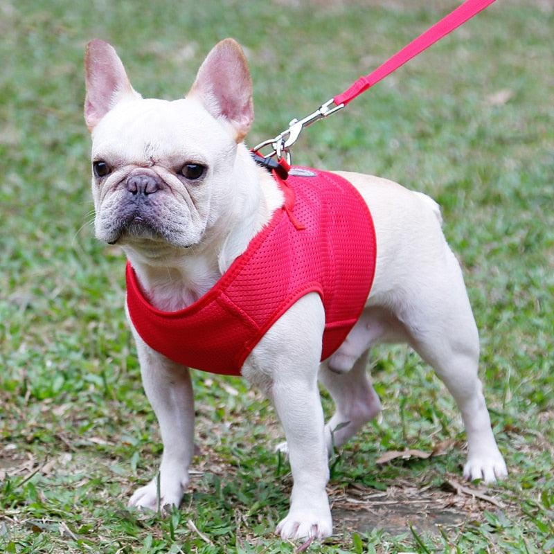 Dog Breathable Mesh Harness And Leash Set - Light Weight Adjustable Pet Dog Harness Vest (2U70)