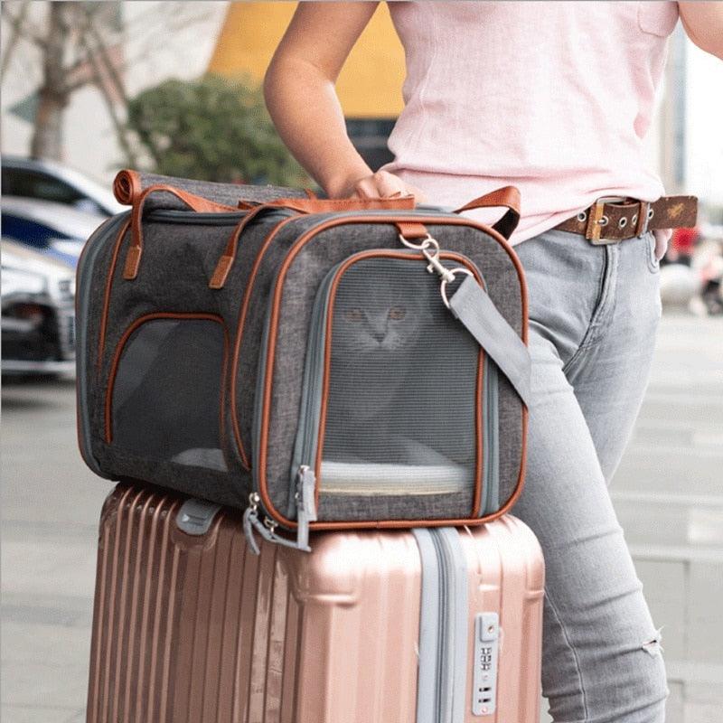 Great Pet Carrier Portable Backpack - Airline Approved Soft Sided Breathable Cat and Dong Carrier (D79)(5LT1)
