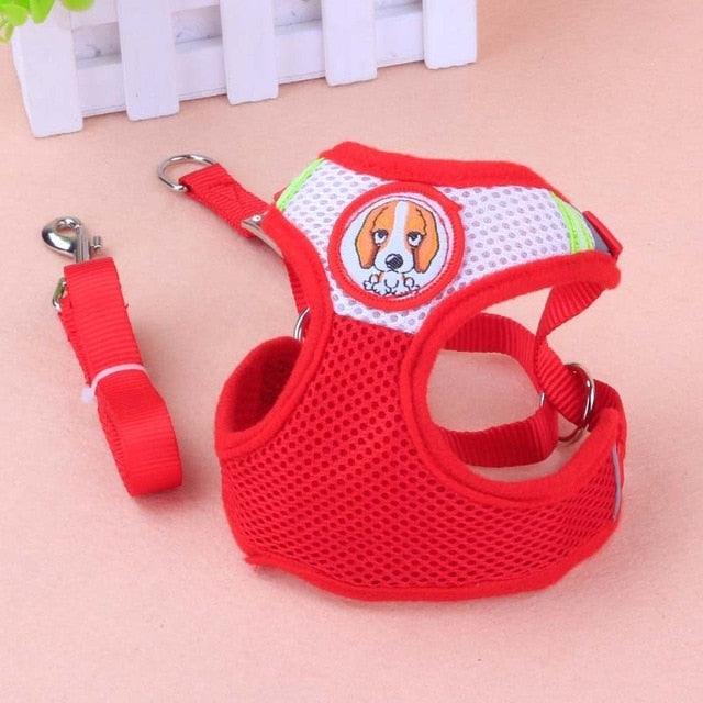 Dog Harness Vest For Small Dogs - Breathable Mesh Cloth With Retractable Dog Leash For Medium Dogs (3W1)