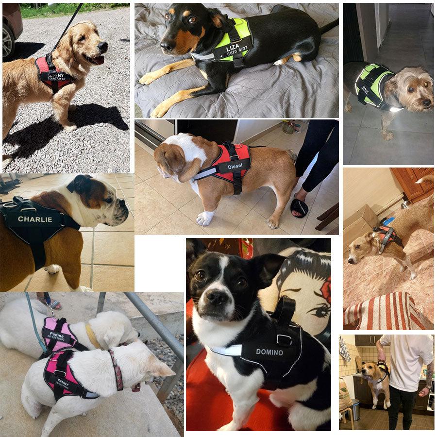 Dog Cat Harness Vest ID Patch Customized Reflective Breathable Adjustable Pet Harness (1U70)(1U75)