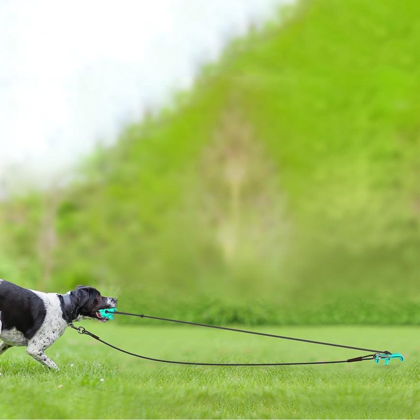 Dog Toy Interactive Push Ball Rope Set Toys - Tooth Cleaning Chew Toys Outdoor Pile Dog Toy Set (1U73)