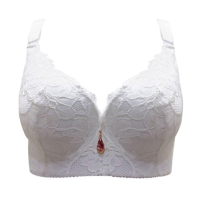 Amazing Lace Bra Push Up Bra - C / D Cup Plus Size - Women Amazing Underwear Brassiere (TSB2)(TSB3)