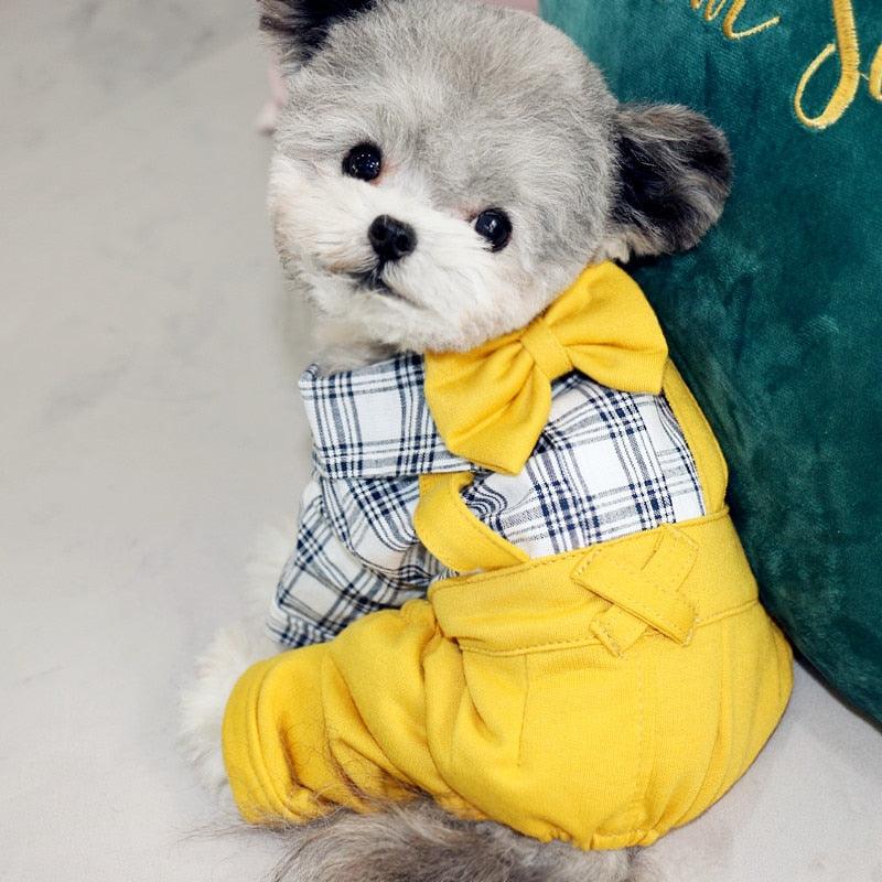 Gentleman Dog - Clothes Wedding Jumpsuit Small Dog Clothing Overalls Outfit (D69)(W5)(W7)