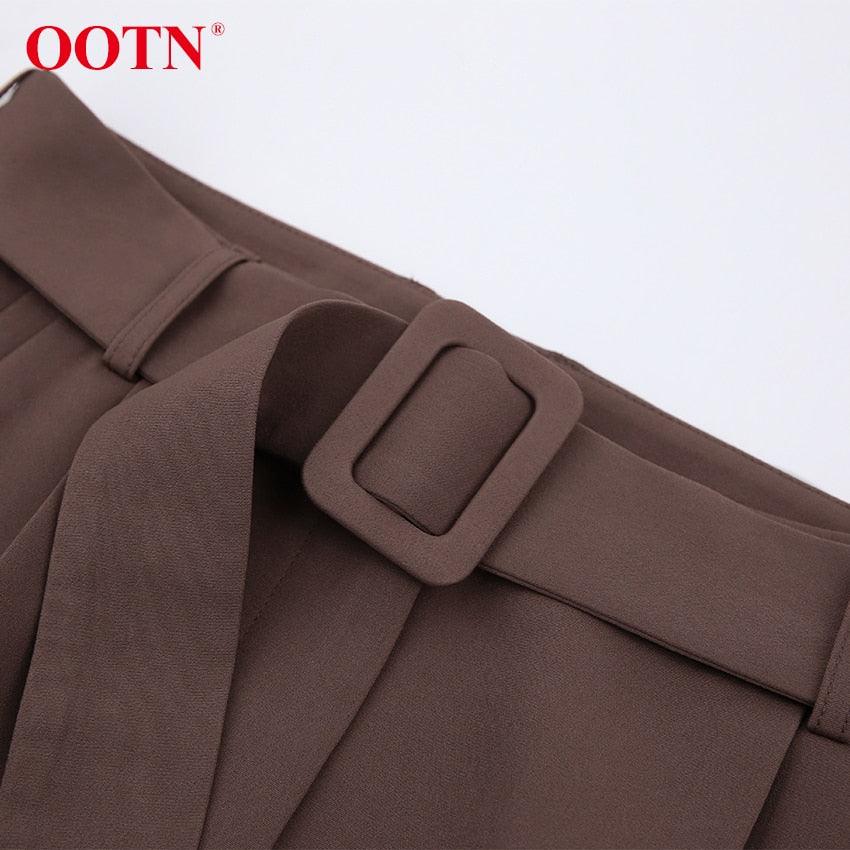 Gorgeous Autumn Office Wide Leg Pants Women Sashes Elastic Waist Pants - Elegant Ladies Brown Trousers Plus Length Palazzo Cozy (D25)(BP)(1U25) - Deals DejaVu