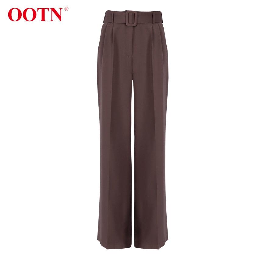Gorgeous Autumn Office Wide Leg Pants Women Sashes Elastic Waist Pants - Elegant Ladies Brown Trousers Plus Length Palazzo Cozy (D25)(BP)(1U25) - Deals DejaVu