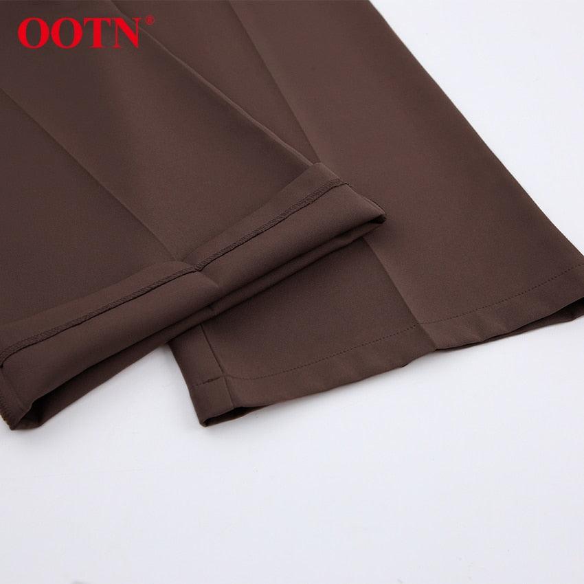 Gorgeous Autumn Office Wide Leg Pants Women Sashes Elastic Waist Pants - Elegant Ladies Brown Trousers Plus Length Palazzo Cozy (D25)(BP)(1U25) - Deals DejaVu