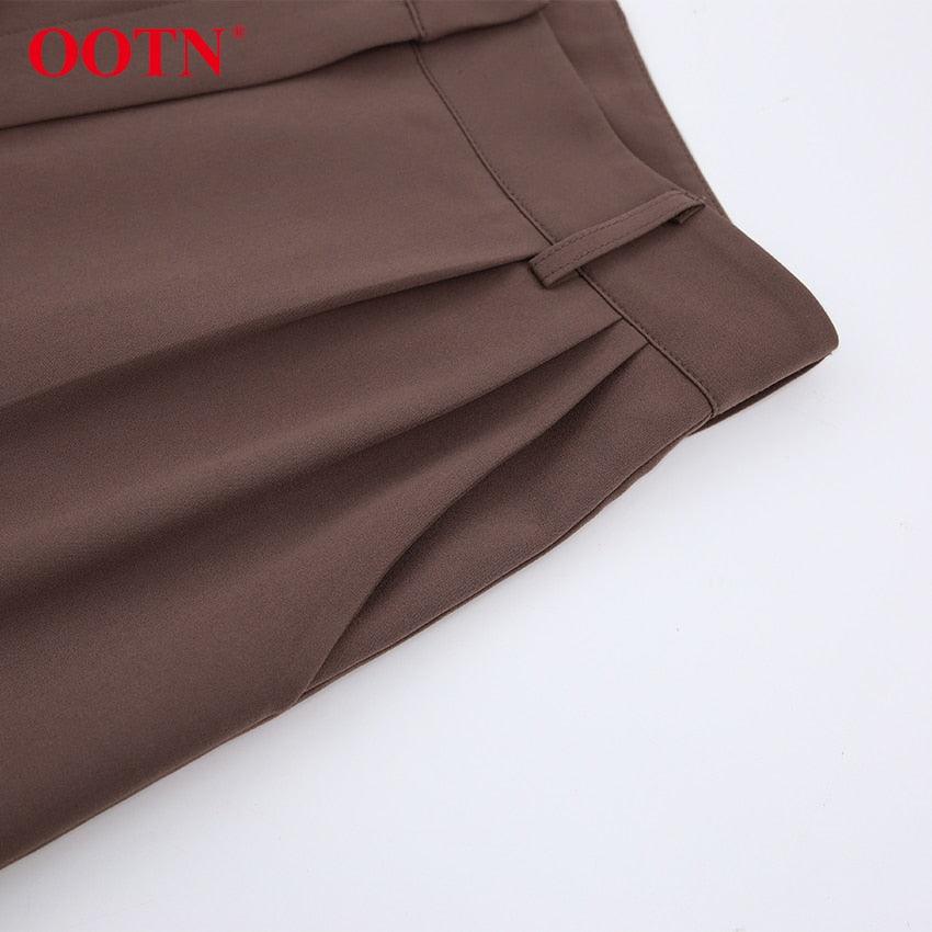 Gorgeous Autumn Office Wide Leg Pants Women Sashes Elastic Waist Pants - Elegant Ladies Brown Trousers Plus Length Palazzo Cozy (D25)(BP)(1U25) - Deals DejaVu