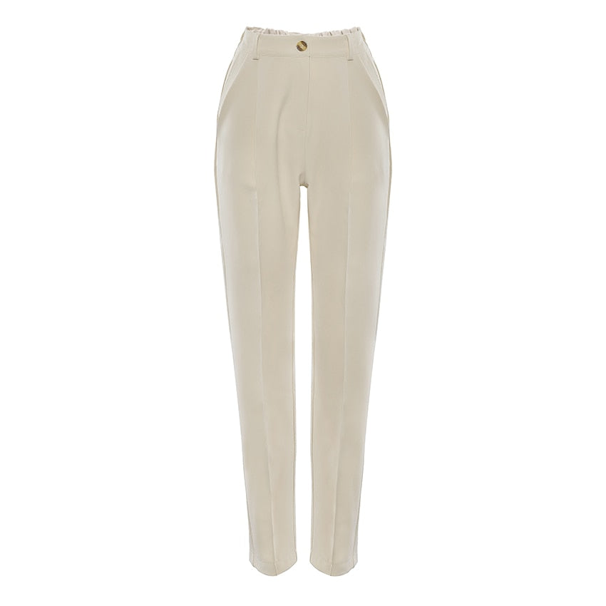 Great Brown Pencil Pants Female Autumn Winter Elegant Ladies Plain Casual Black Pants - Office Work Straight Women Trousers (D25)(BP)(1U25) - Deals DejaVu