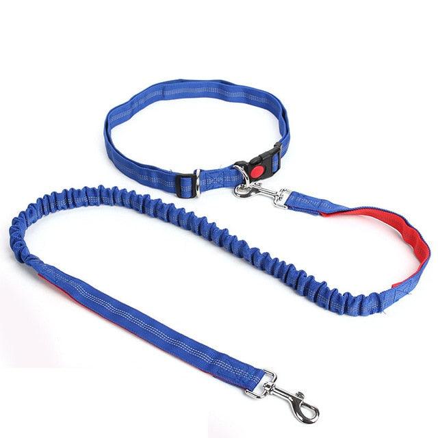 Hands Free Nylon Retractable Dog Leash - Dog Collars For Big Dogs Liberate Hands Healthy Exercise Dogs (2W1)(F70)