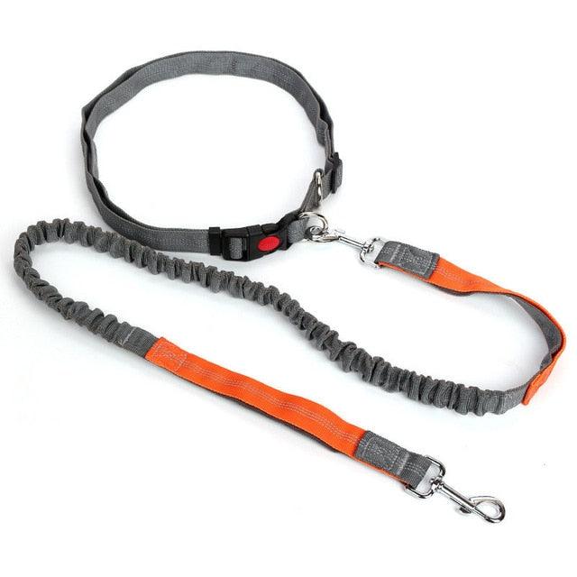 Hands Free Nylon Retractable Dog Leash - Dog Collars For Big Dogs Liberate Hands Healthy Exercise Dogs (2W1)(F70)