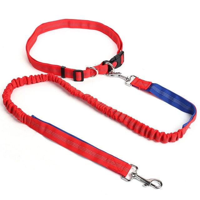 Hands Free Nylon Retractable Dog Leash - Dog Collars For Big Dogs Liberate Hands Healthy Exercise Dogs (2W1)(F70)