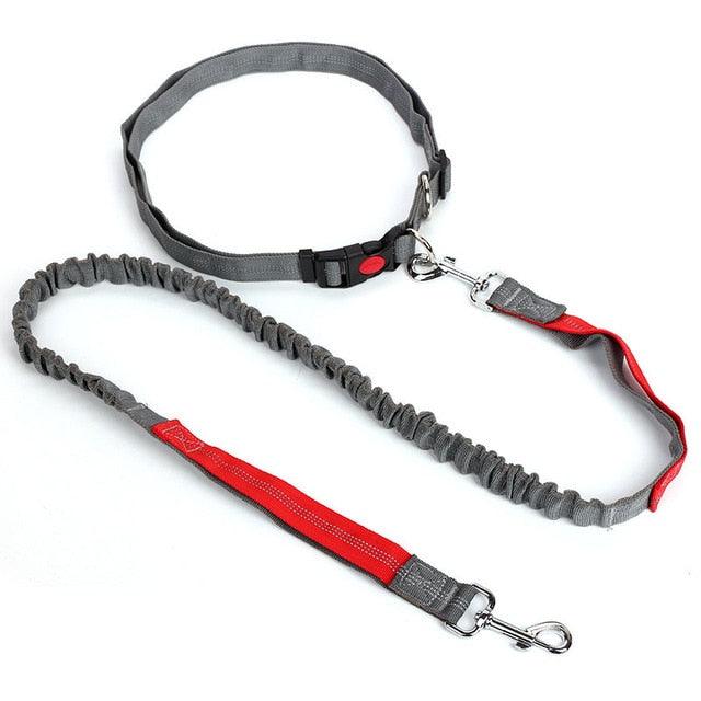 Hands Free Nylon Retractable Dog Leash - Dog Collars For Big Dogs Liberate Hands Healthy Exercise Dogs (2W1)(F70)