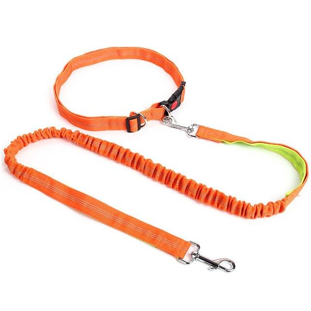Hands Free Nylon Retractable Dog Leash - Dog Collars For Big Dogs Liberate Hands Healthy Exercise Dogs (2W1)(F70)