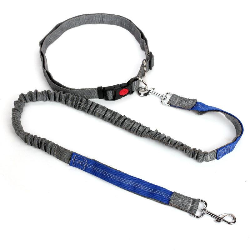 Hands Free Nylon Retractable Dog Leash - Dog Collars For Big Dogs Liberate Hands Healthy Exercise Dogs (2W1)(F70)