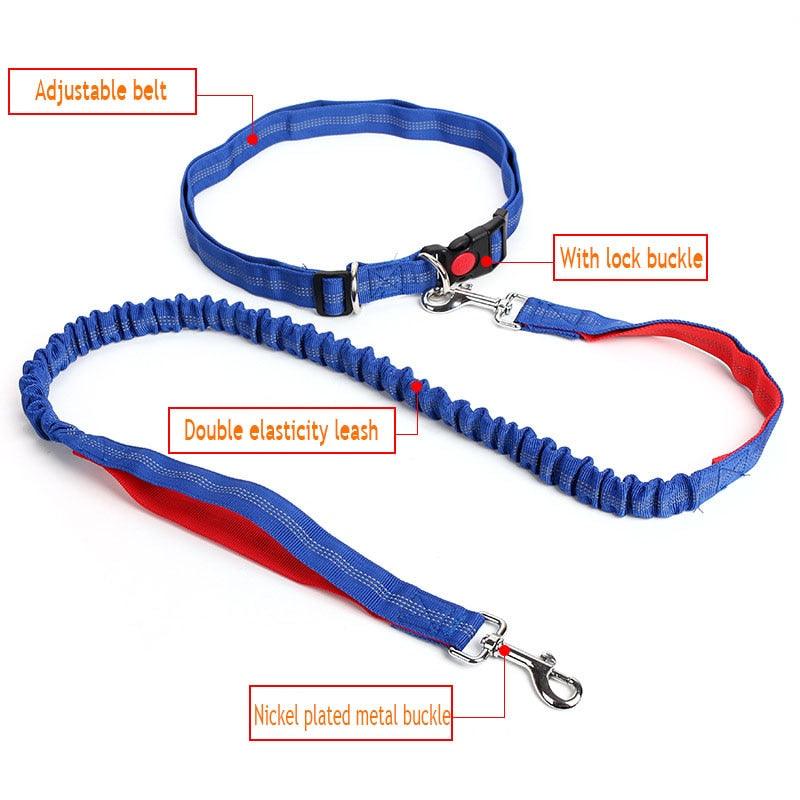 Hands Free Nylon Retractable Dog Leash - Dog Collars For Big Dogs Liberate Hands Healthy Exercise Dogs (2W1)(F70)