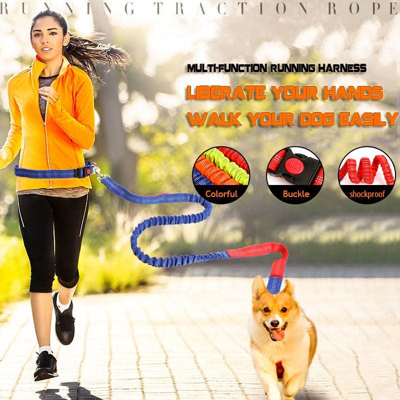 Hands Free Nylon Retractable Dog Leash - Dog Collars For Big Dogs Liberate Hands Healthy Exercise Dogs (2W1)(F70)
