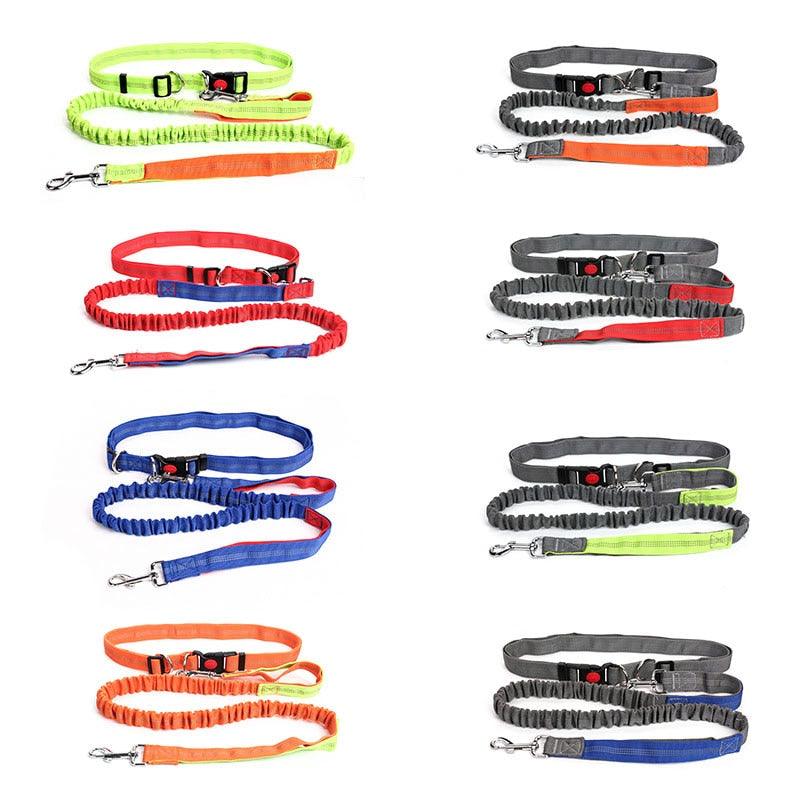 Hands Free Nylon Retractable Dog Leash - Dog Collars For Big Dogs Liberate Hands Healthy Exercise Dogs (2W1)(F70)