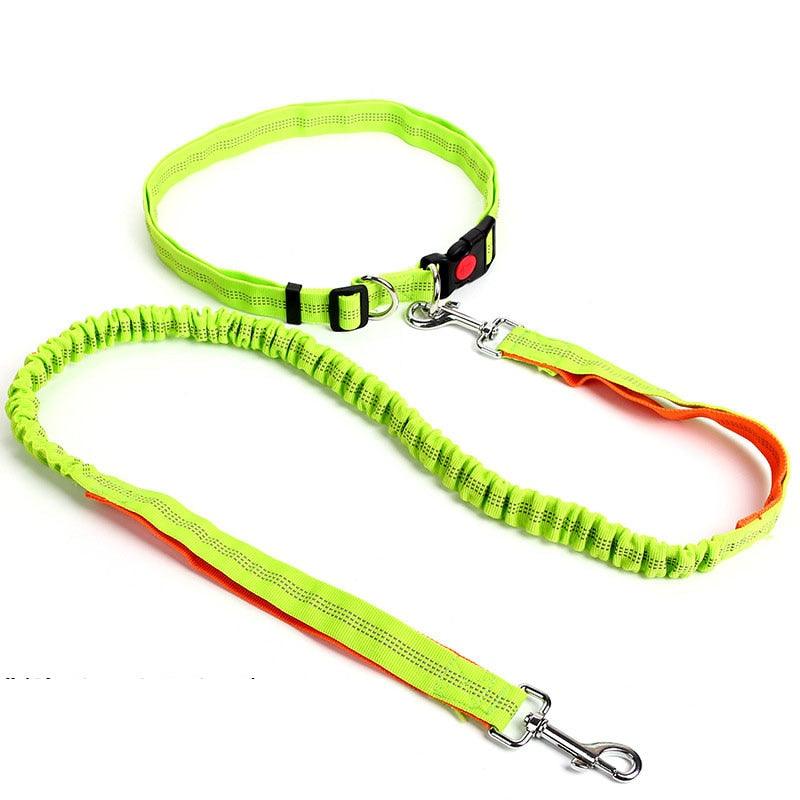 Hands Free Nylon Retractable Dog Leash - Dog Collars For Big Dogs Liberate Hands Healthy Exercise Dogs (2W1)(F70)
